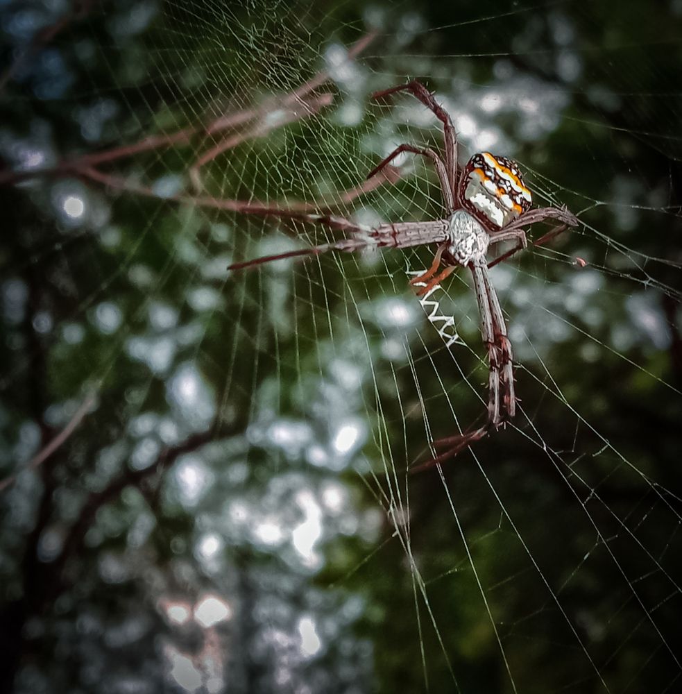 Photograph by Kishan Upadhyay