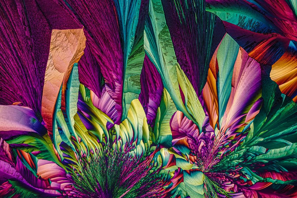 Photograph by Сергей Чупахин