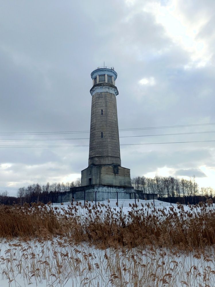 Photo #11952728