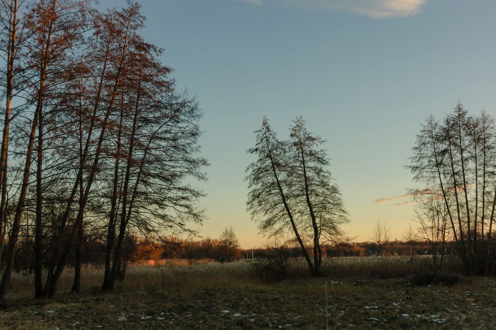 Photograph by Иван Курятников