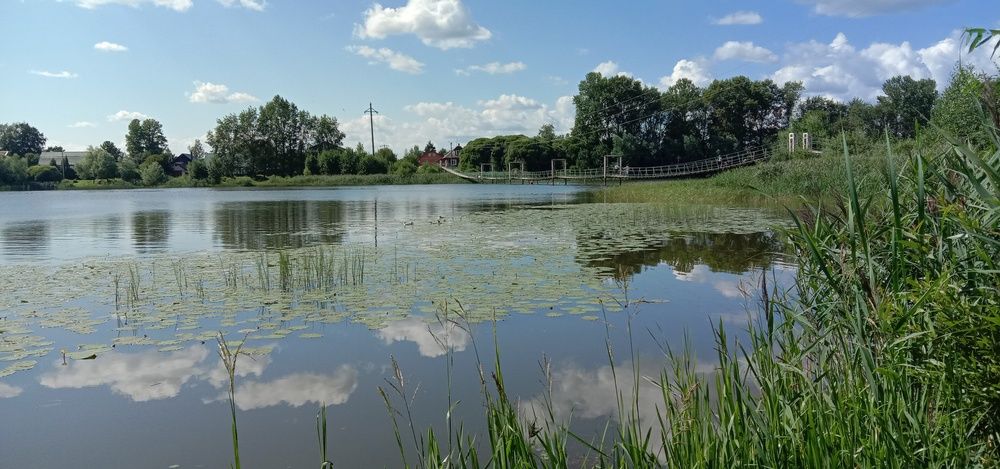 Бологовское озеро