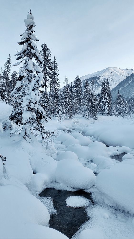 Photograph by Оксана Лоншакова