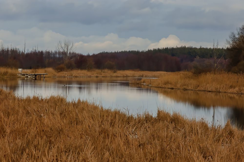 Photograph by Иван Курятников