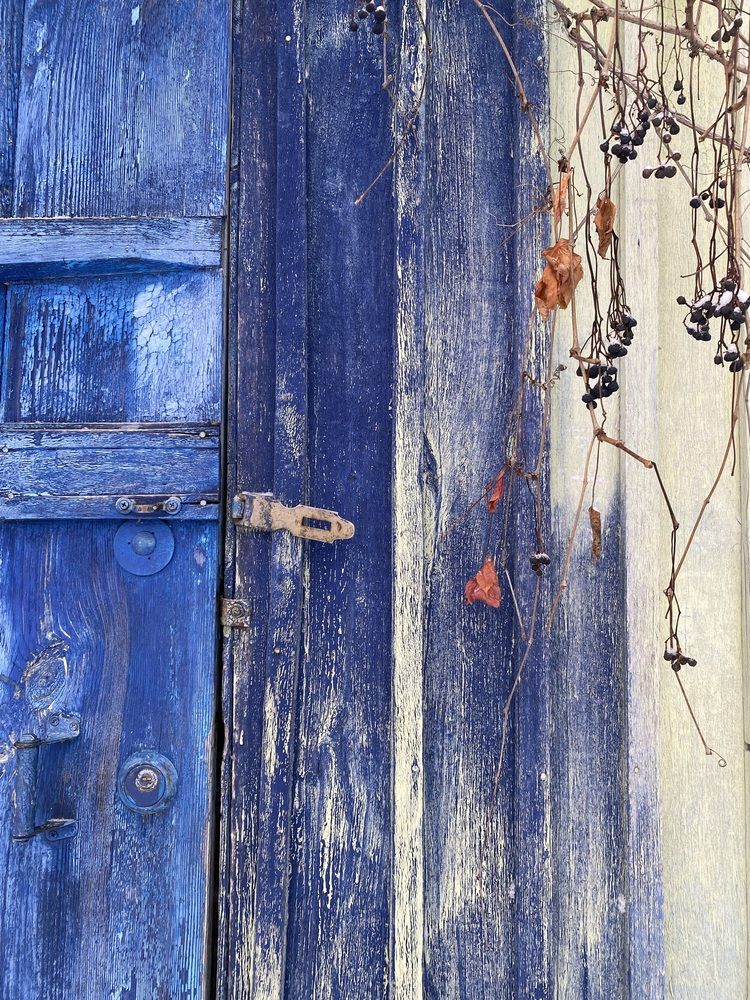 Photograph by Елена Пчельникова