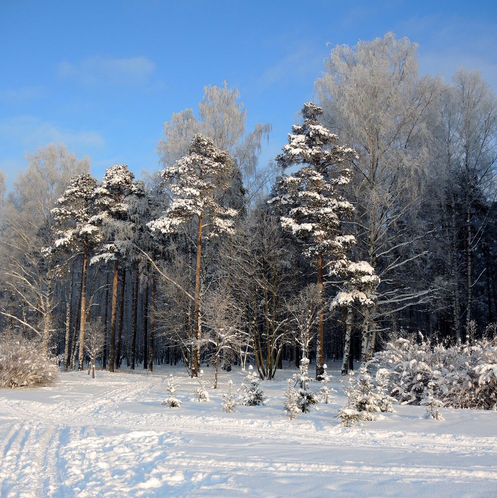 Бело-голубое
