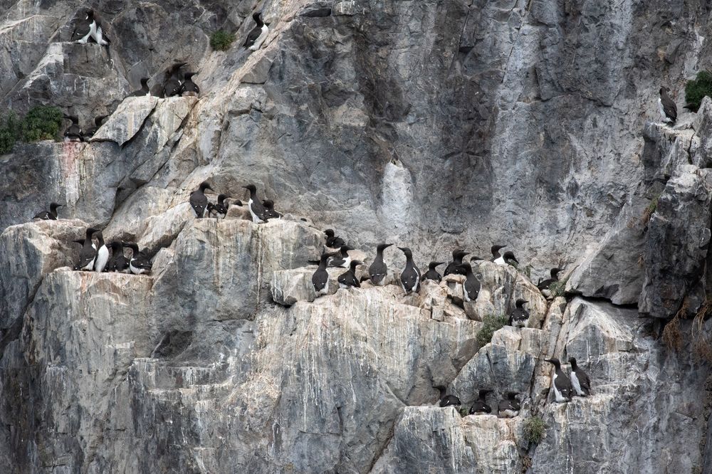 Фотография автора Гурьевских Евгений