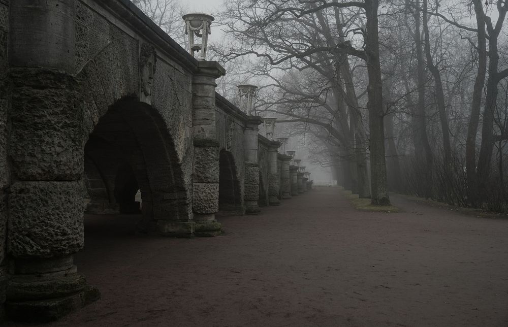 A morning in November