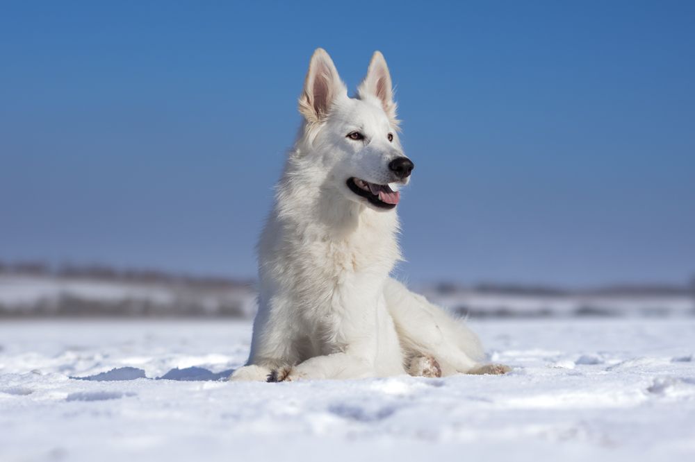 Фотография автора Andrea Forejtová