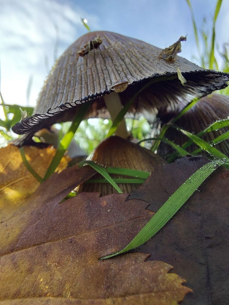 Photograph by Ирина Грицаенко-Шимановская