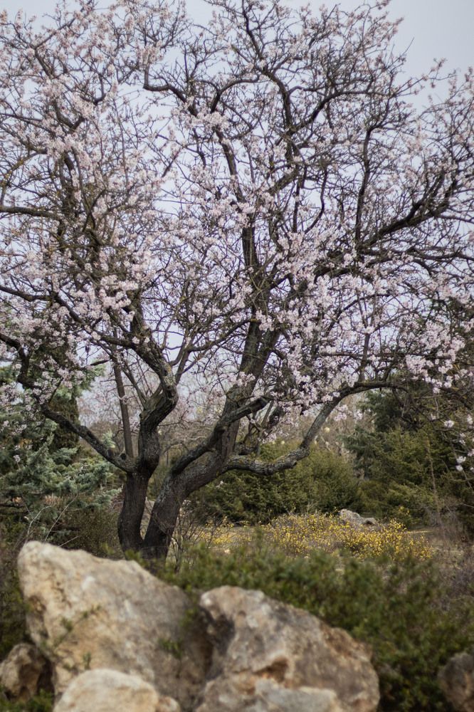 Photograph by Ксения Золотарь