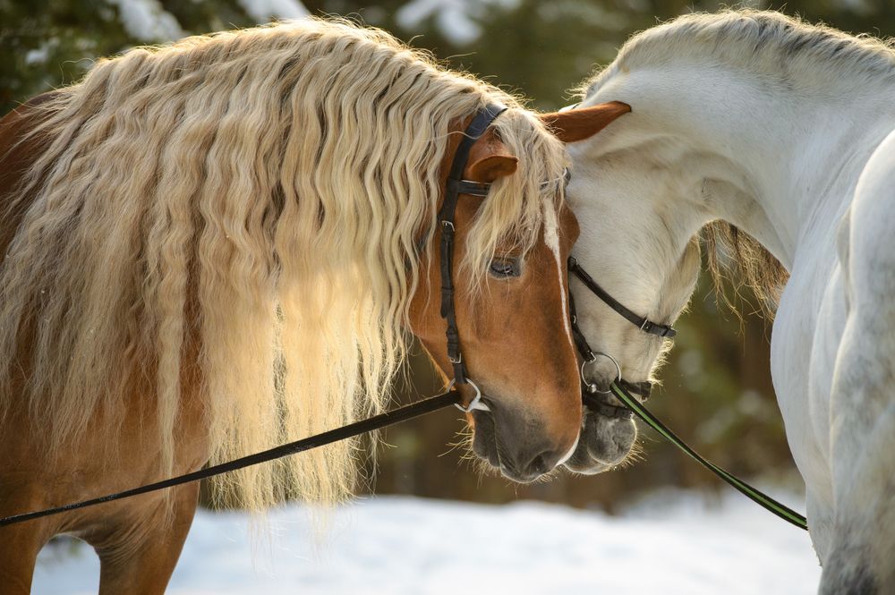 Photograph by александр лялин