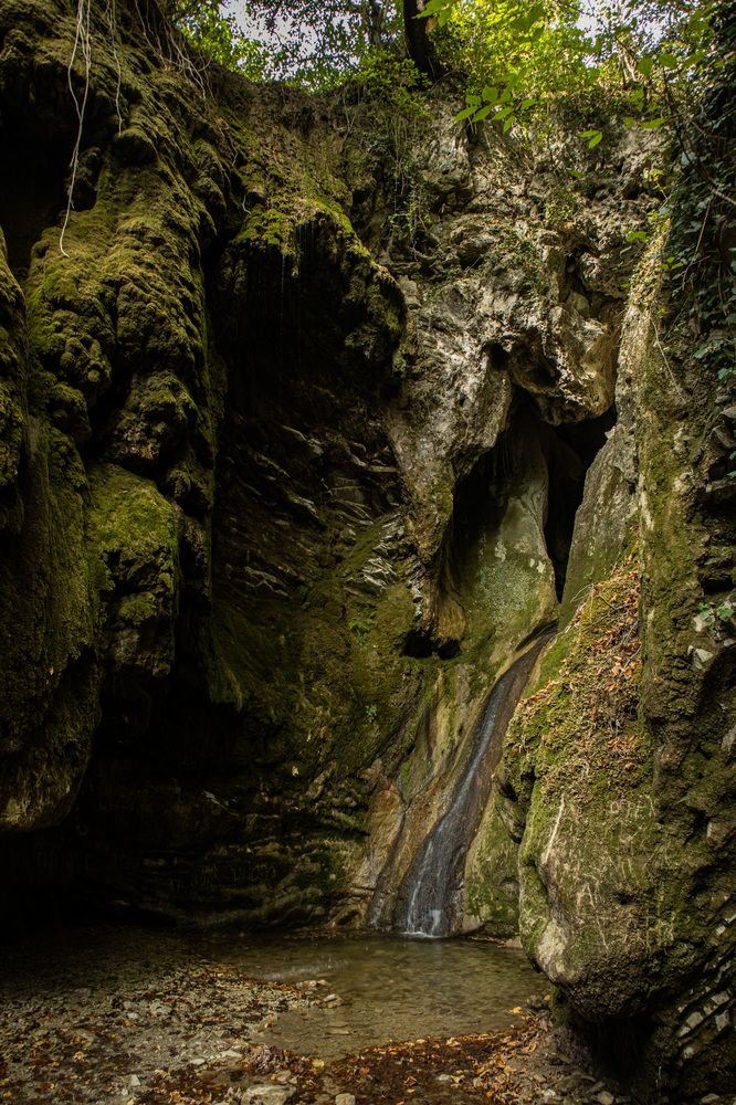 Photograph by Ксения Золотарь