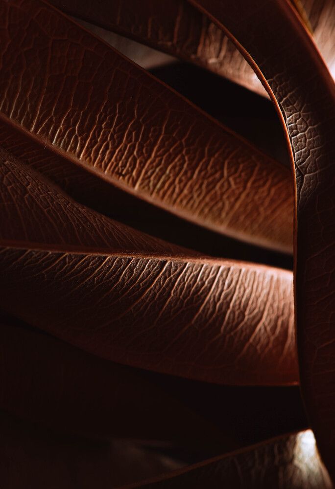 Photograph by Бржозовская Яна