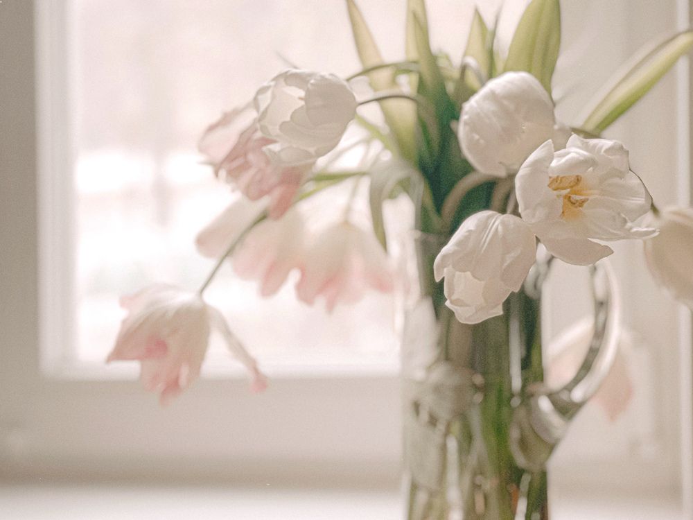 Photograph by Татьяна Антонова