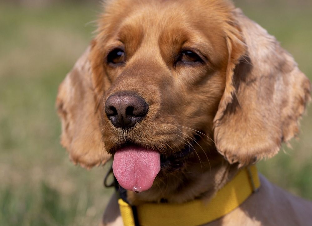 Фотография автора Ираида Гайфуллина