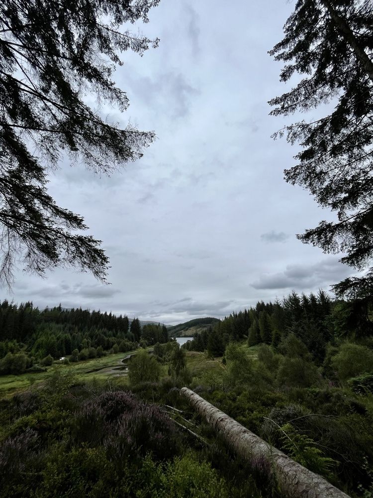 Photograph by Юлия