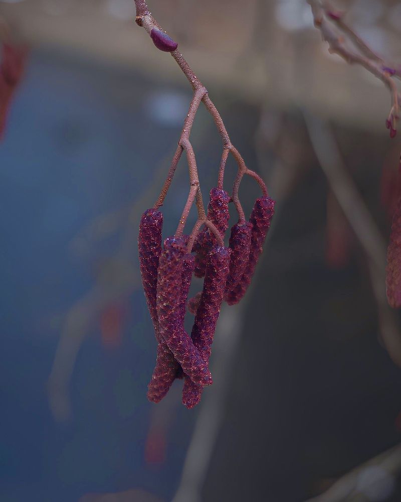 Фотография автора Lilitha Wut