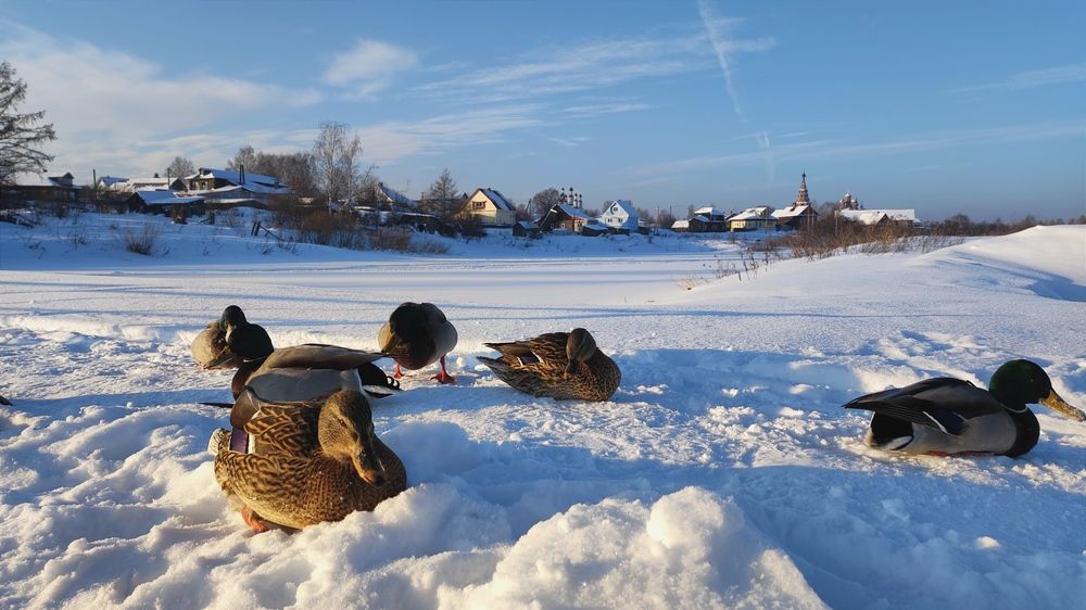 Photograph by Марина Артемьева