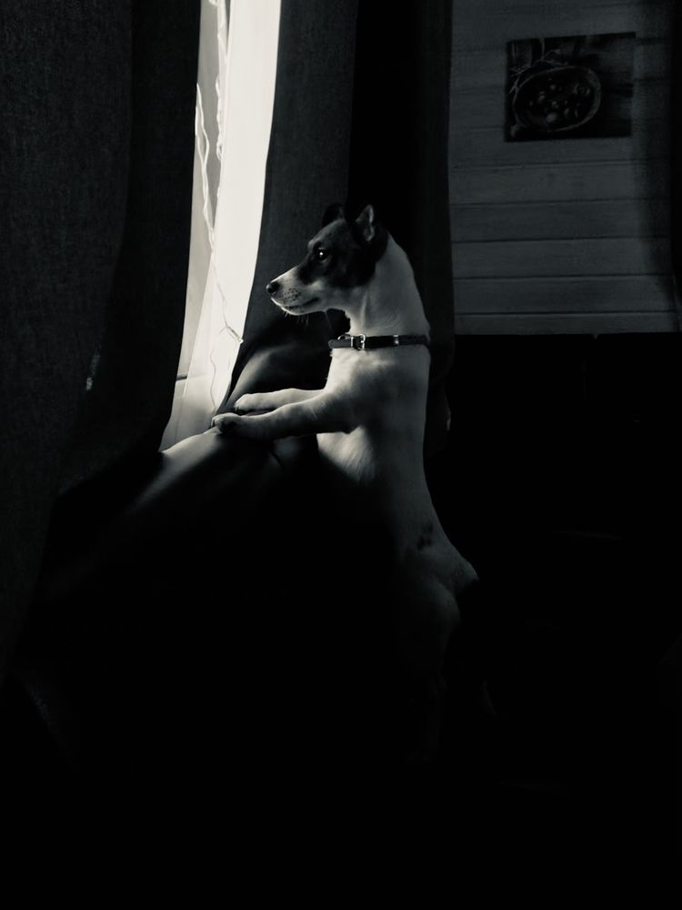 Photograph by NELLY KOROLEVSKAYA
