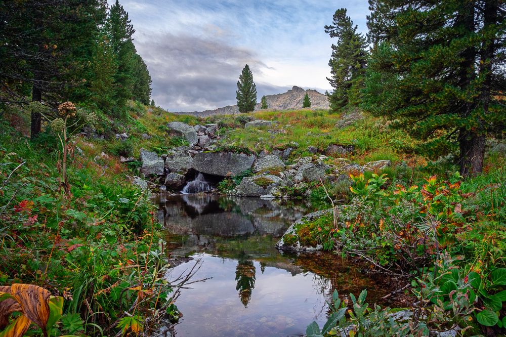 Photograph by Александр Михайлов