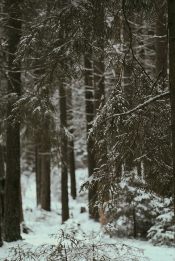Photo #11953300