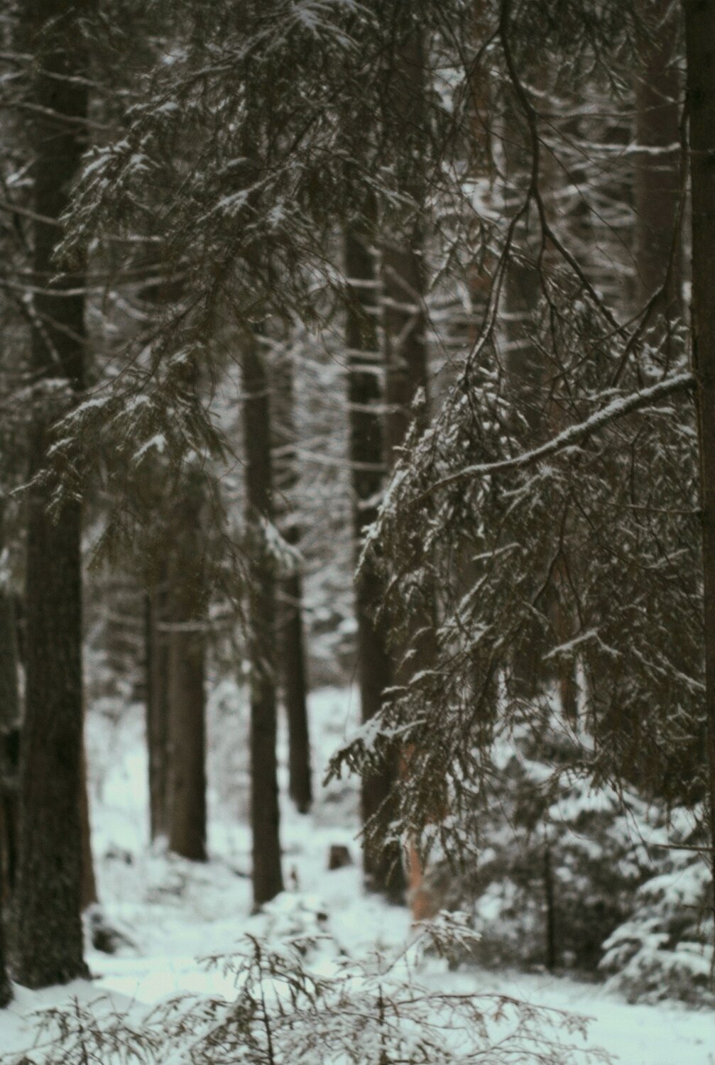 Photo #11953300