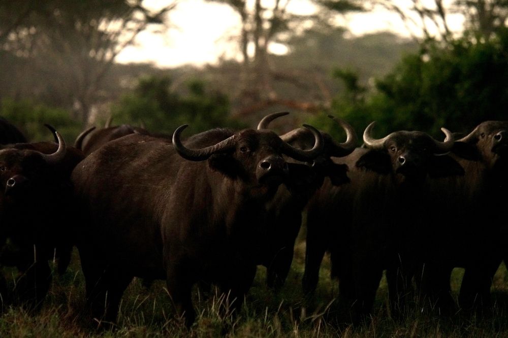 Photograph by Игорь Чебунин