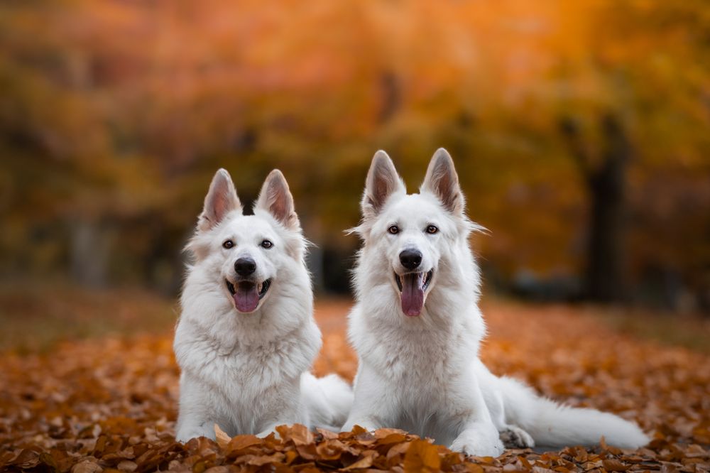 Фотография автора Andrea Forejtová