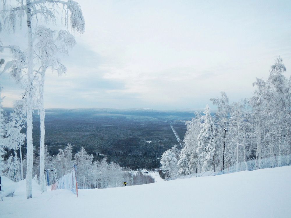 Фотография автора Кристина Киселёва