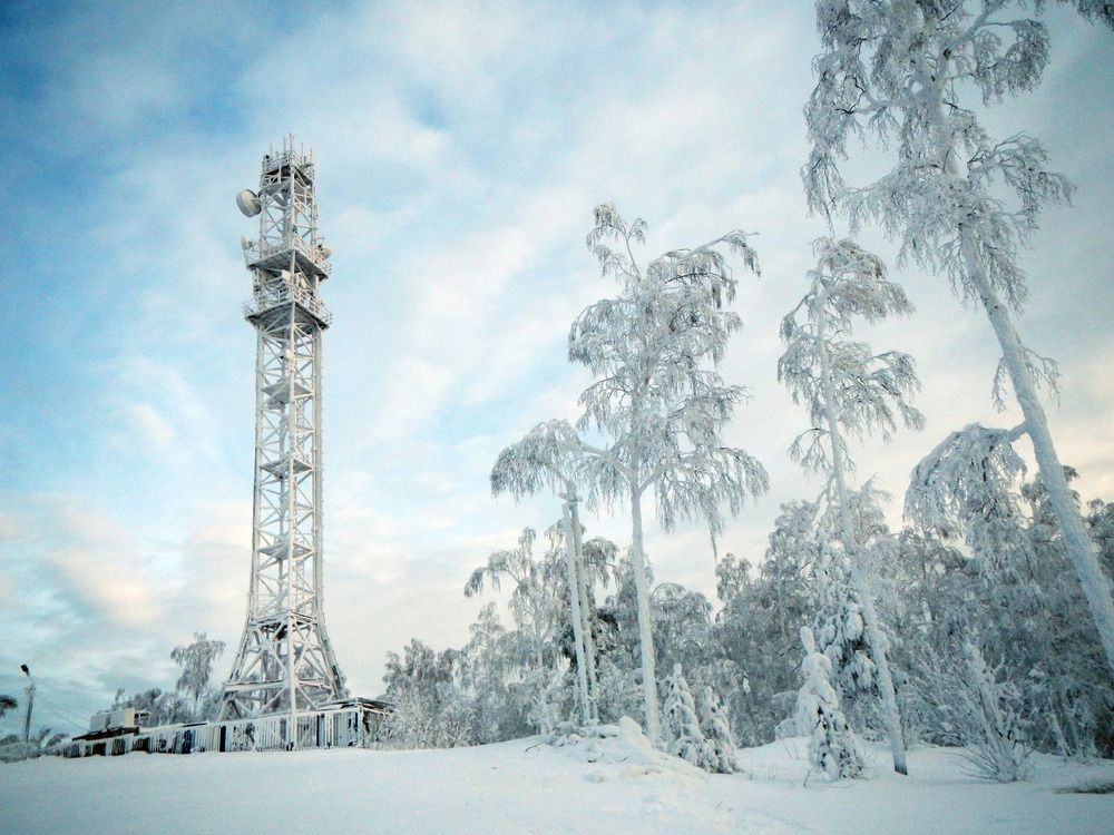 Фотография автора Кристина Киселёва