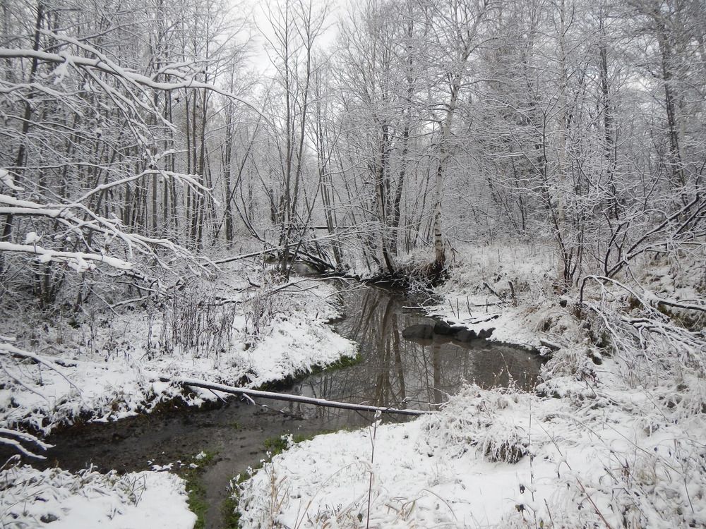 Фотография автора Кристина Киселёва