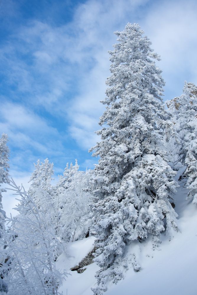 Photograph by Наталия Сметнёва