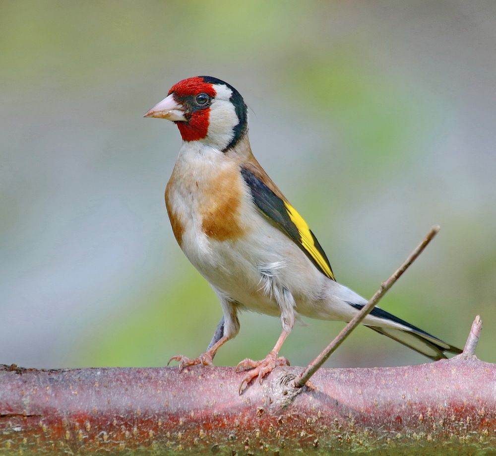 Photograph by Андрей Брагин