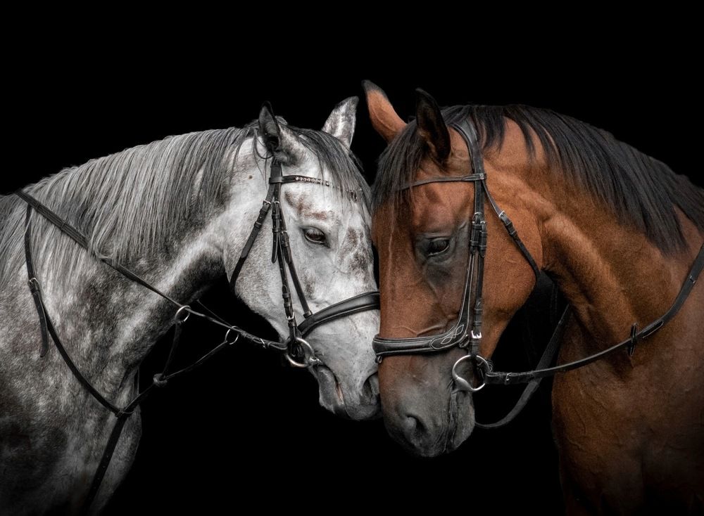 Фотография автора Andrea Forejtová