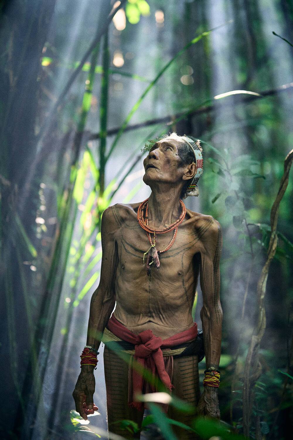 Фотография #11953406