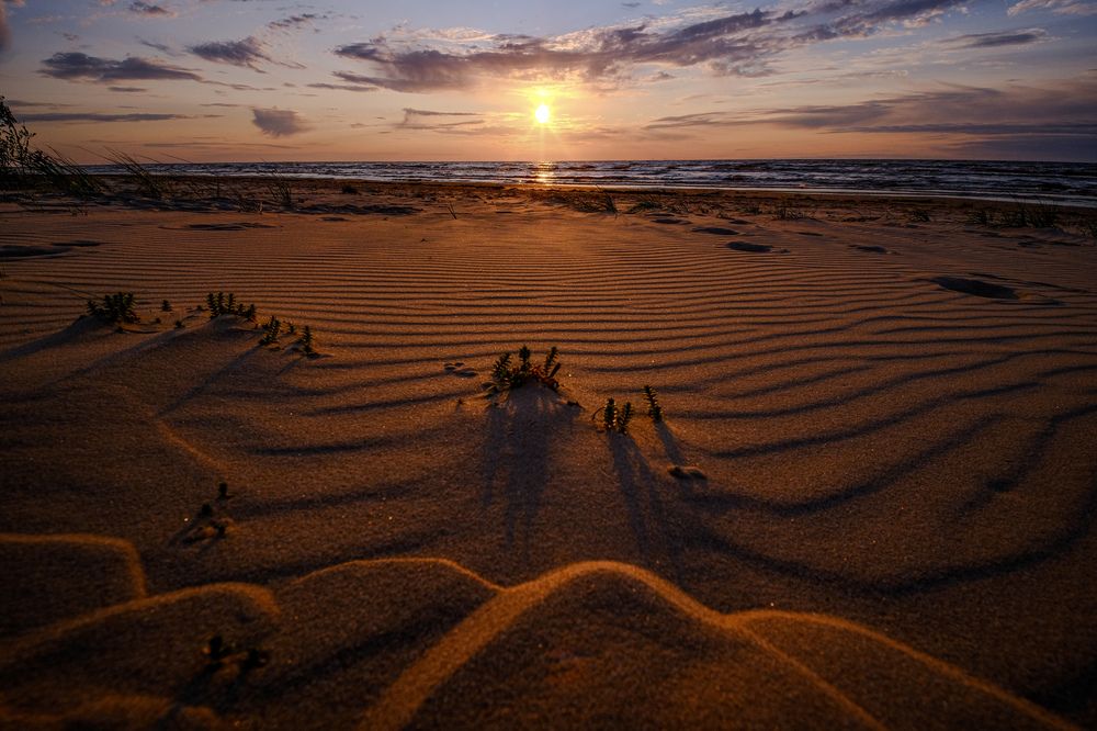 Фотография автора Elvijs Kalnins