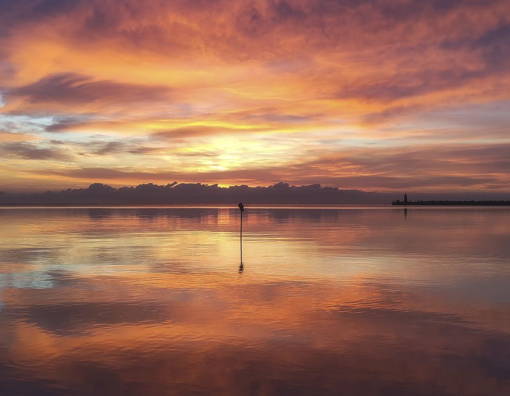 Photograph by Natalia Bolotenkova