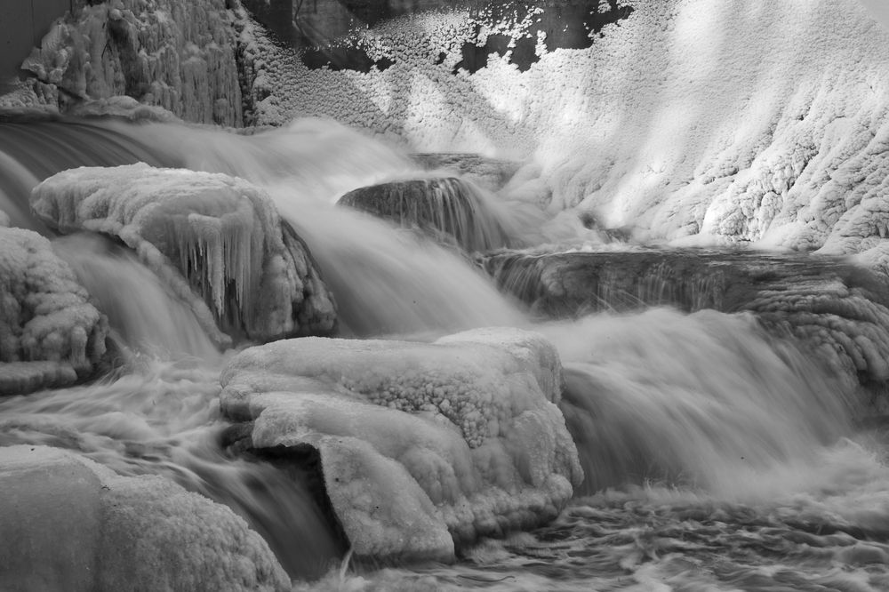 Photograph by Wojtek