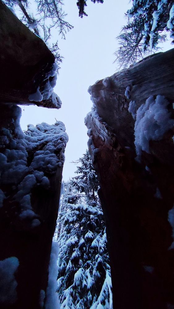 Фотография автора Валерий Жданов