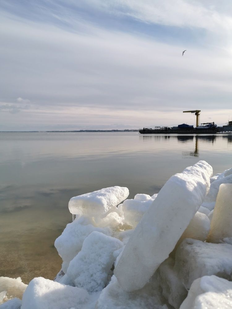 Photograph by Елена Вертегова