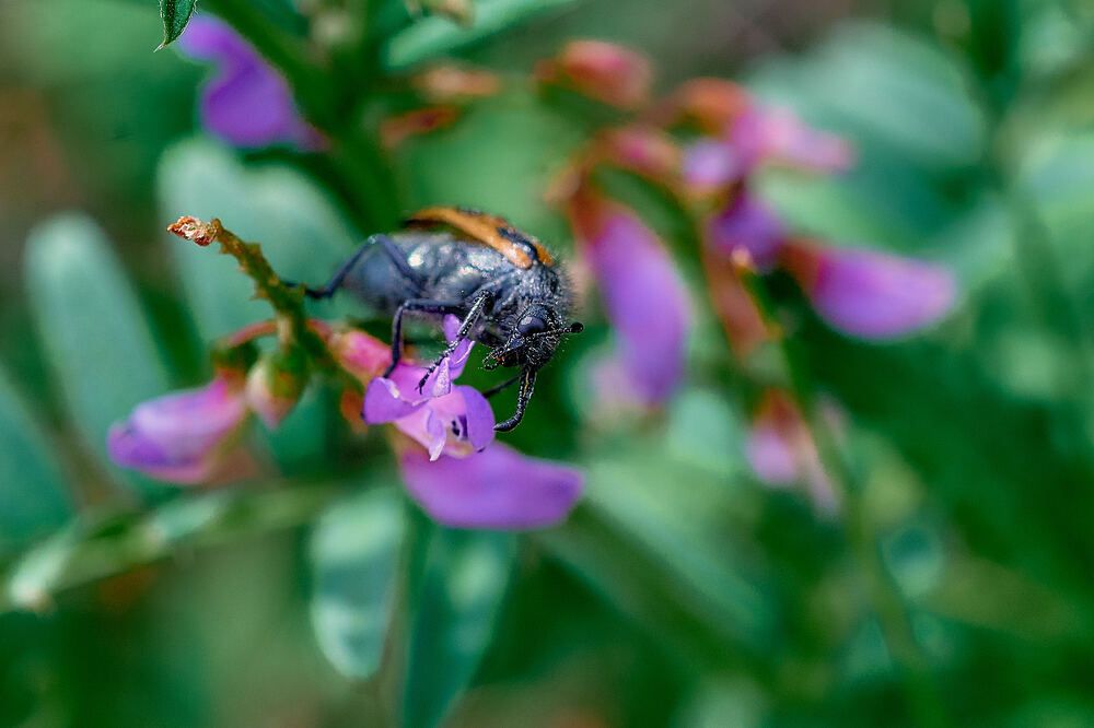 Photograph by Владимир Малевич