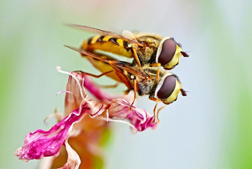 Photograph by Marjo Steffen