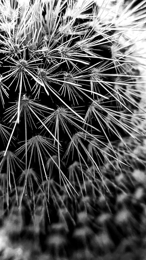 Фотография автора Васильева Ирина