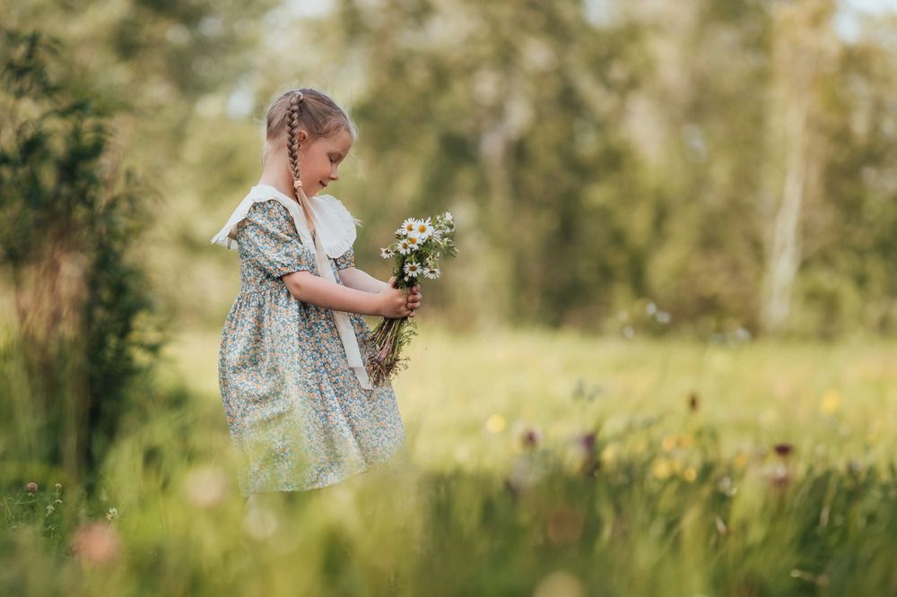 Короткое северное лето