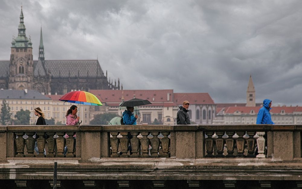 Шёл дождь...