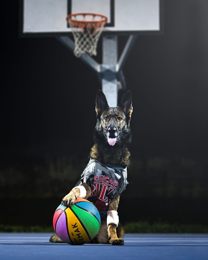 Photograph by Alessio Giuliani