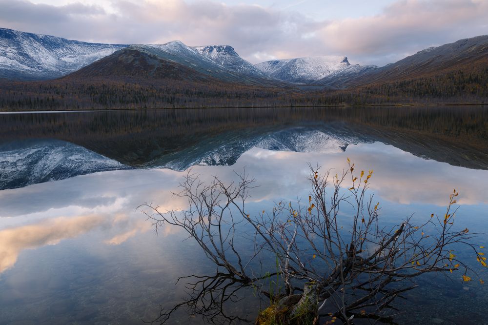 Photograph by Мария Казакова