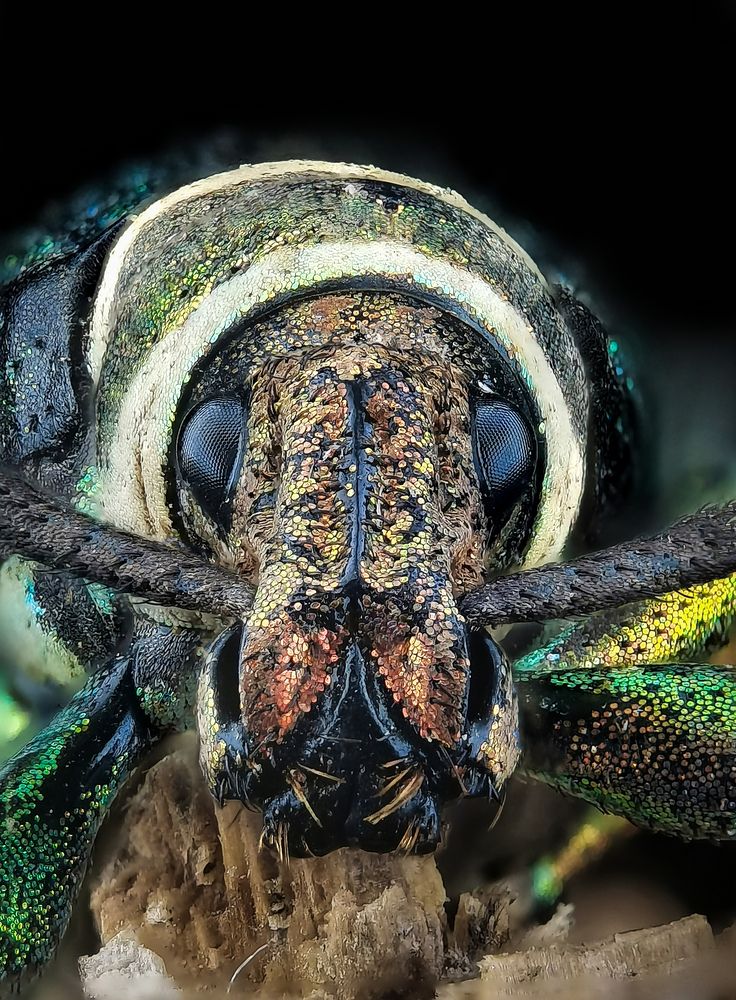 Photograph by Ferdinand Ornedo