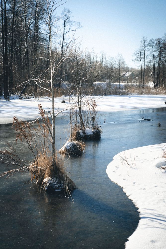 Photograph by Ирина Платицына