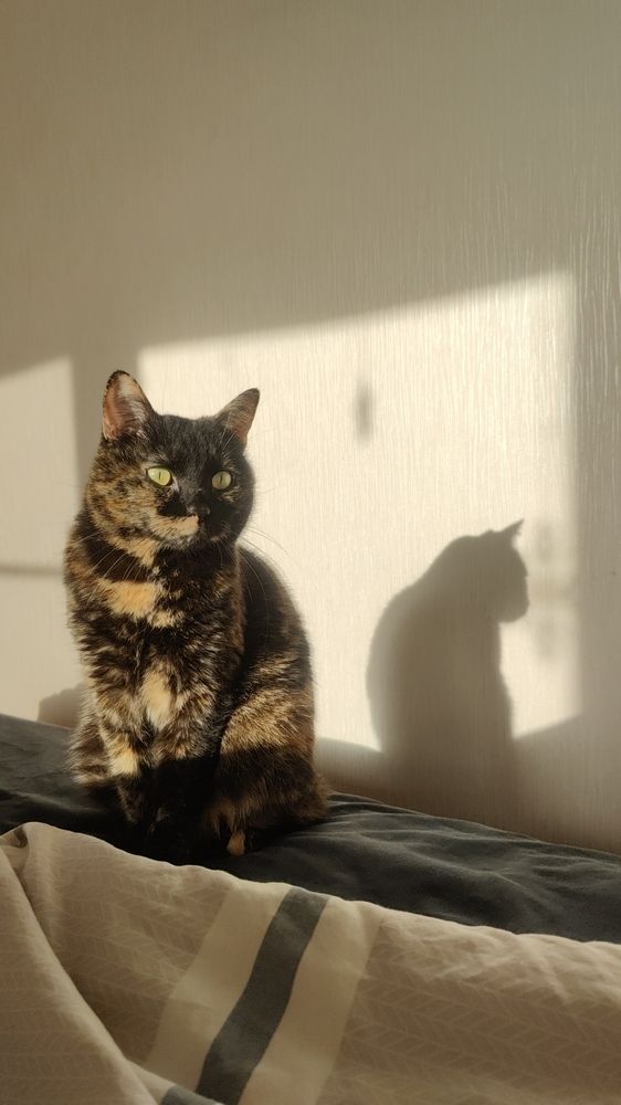 Фотография автора Марина Карасева